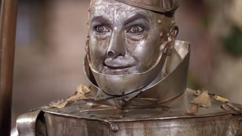 14 - Tin Man