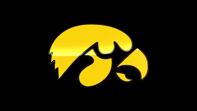 Iowa Hawkeyes