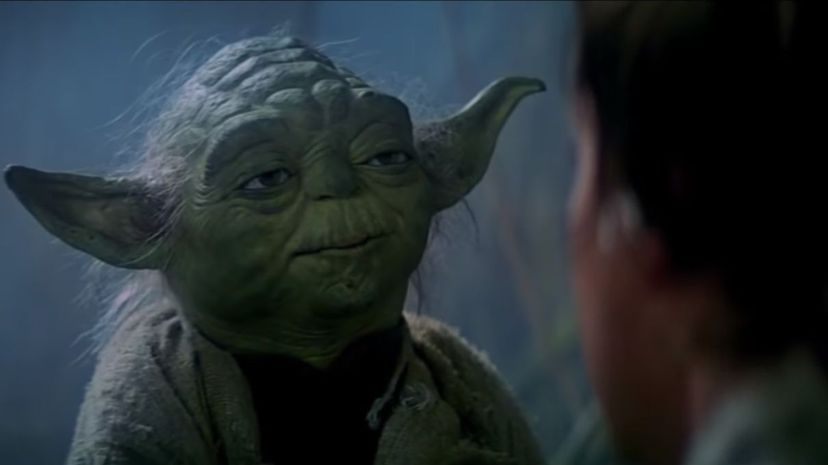 Yoda giving advice