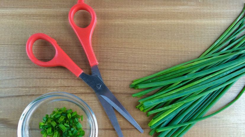 20 Kitchen scissors