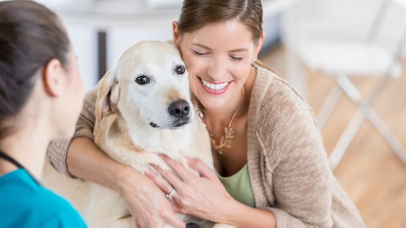 Woman hugging Labrador Retriever