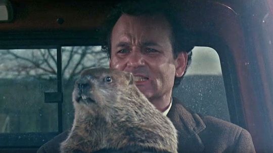 93% of people can't remember what happens in these scenes from Groundhog Day! Can you?