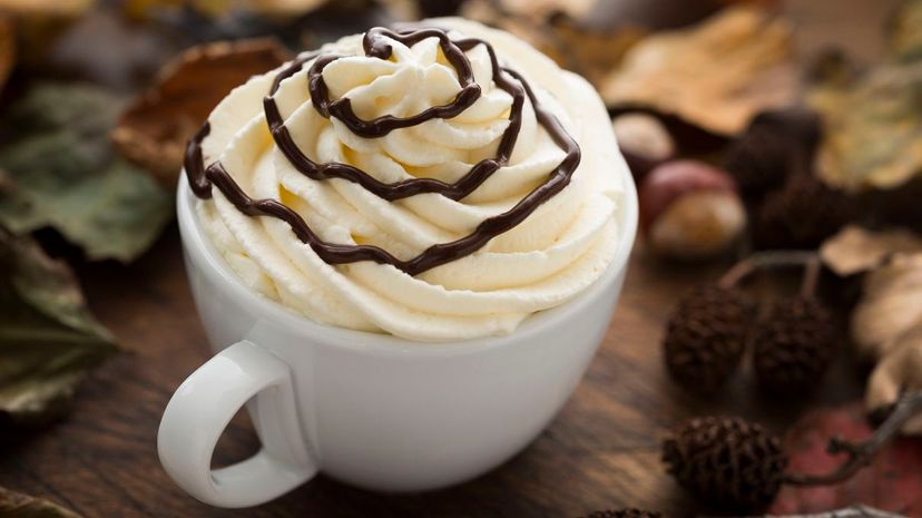 Hot Chocolate topped with fresh whipped cream and chocolate swirl