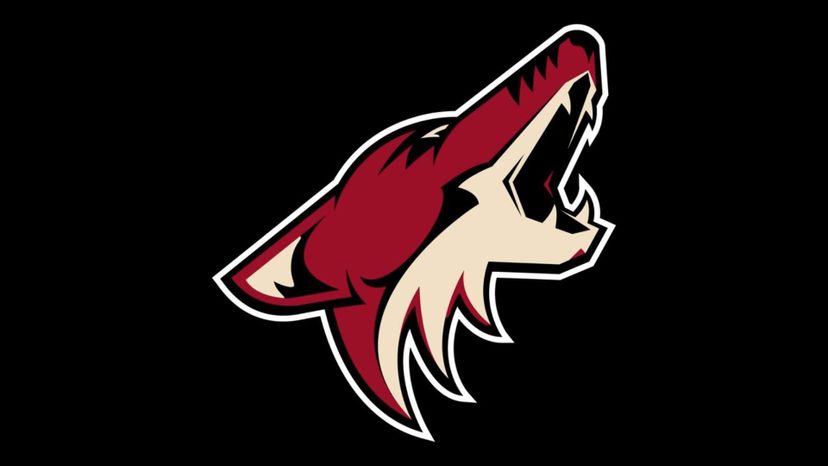 Arizona Coyotes