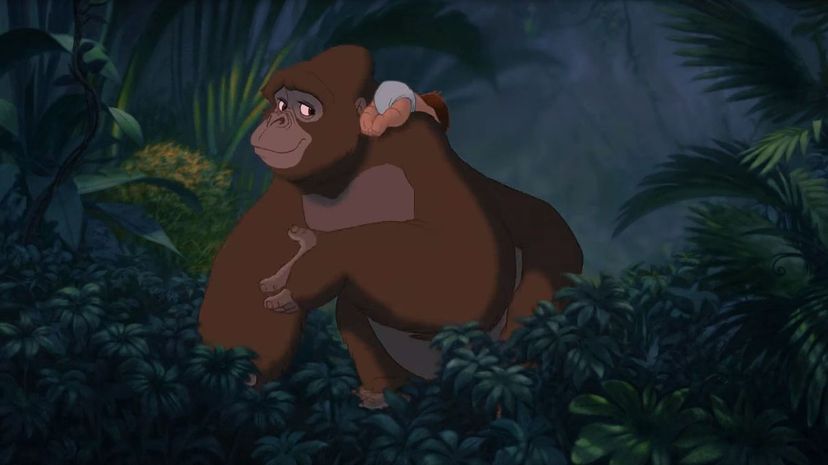 Tarzan - Kala