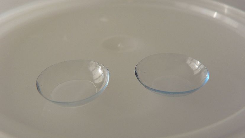 Contact Lenses