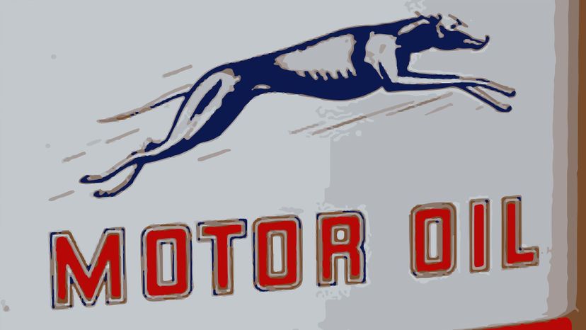 Whippet Motor Oil Vetctor