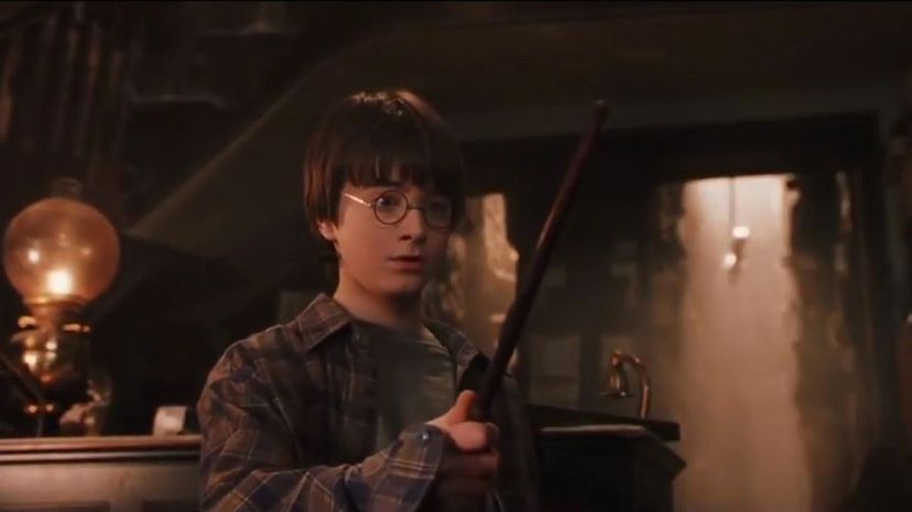 16 Harry Potter gets his wand