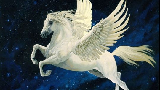 Which Legendary Animal Is Your Spirit Animal?