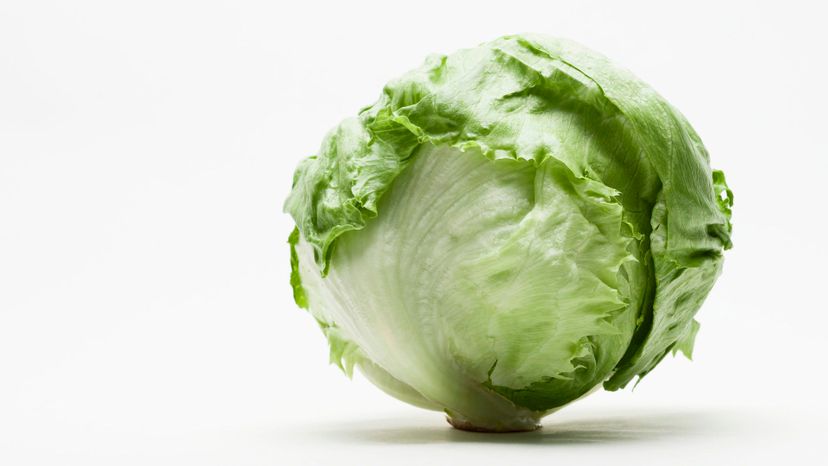 5 Iceberg Lettuce GettyImages-91499812