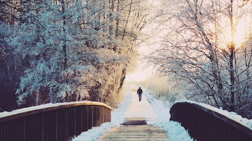 Man Winter Bridge