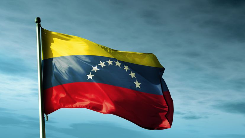 Venezuelan Flag