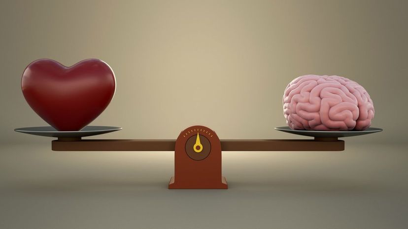 Choose 'This or That' and We'll Guess If You Follow Your Brain or Your Heart
