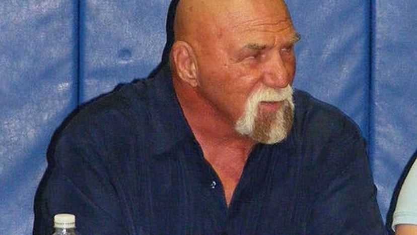 Superstar_Billy_Graham_crop1