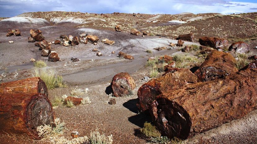 20 Petrified Forest National Park GettyImages-503526012