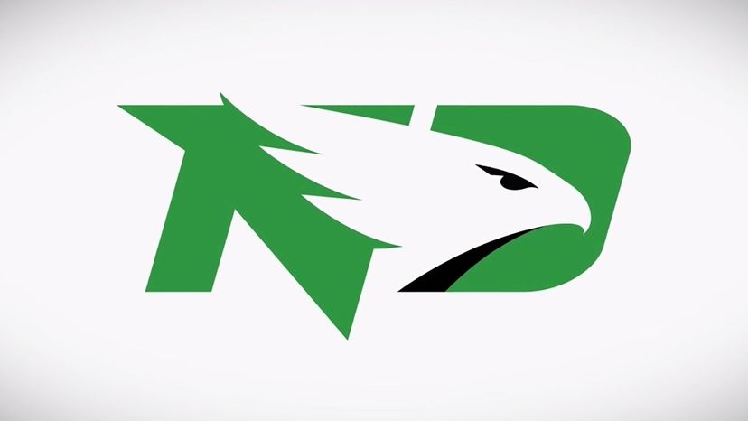 North Dakota Fighting Hawks copy