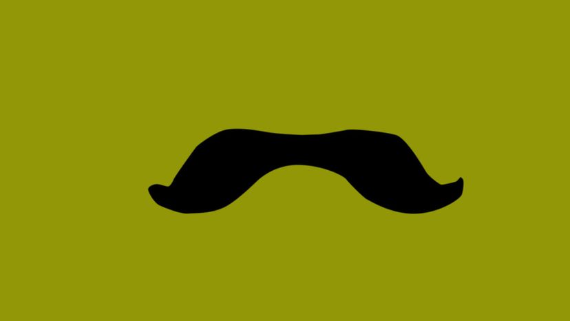 Can You Name the Style of These Movember Mustaches? | HowStuffWorks