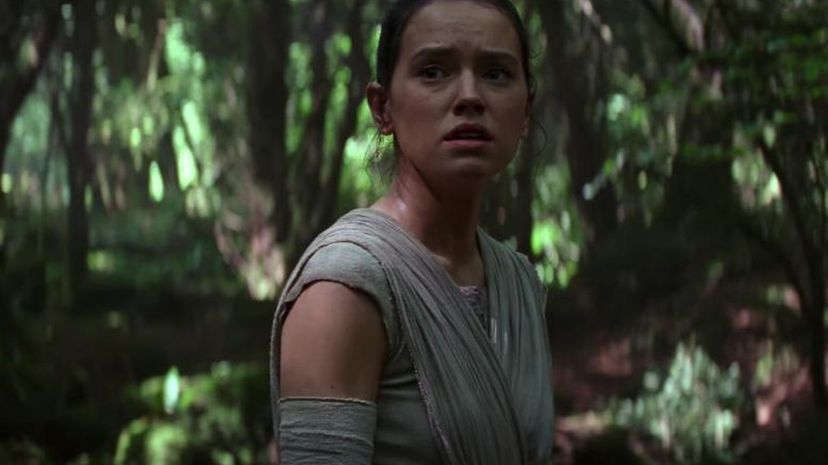 Scared Rey