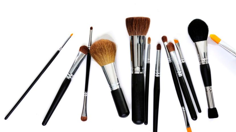 Makeup brushes