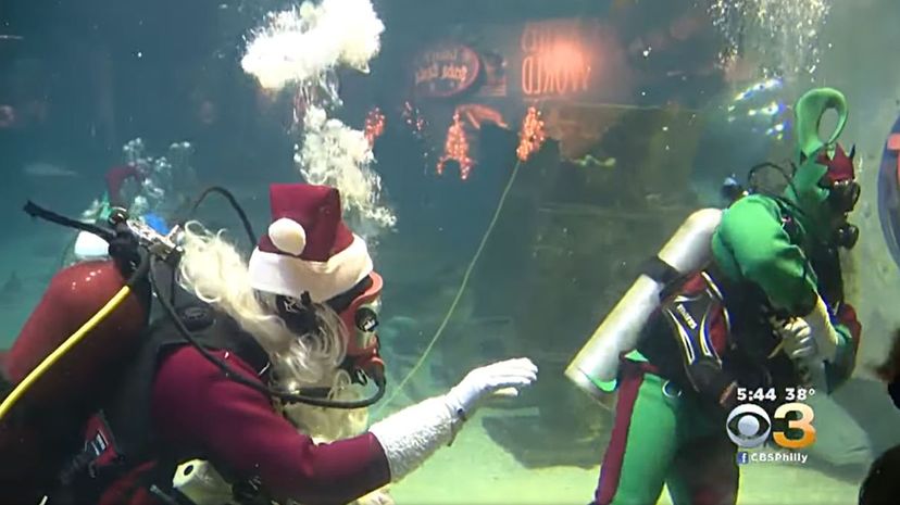 Santa Celebrates Christmas At Adventure Aquarium