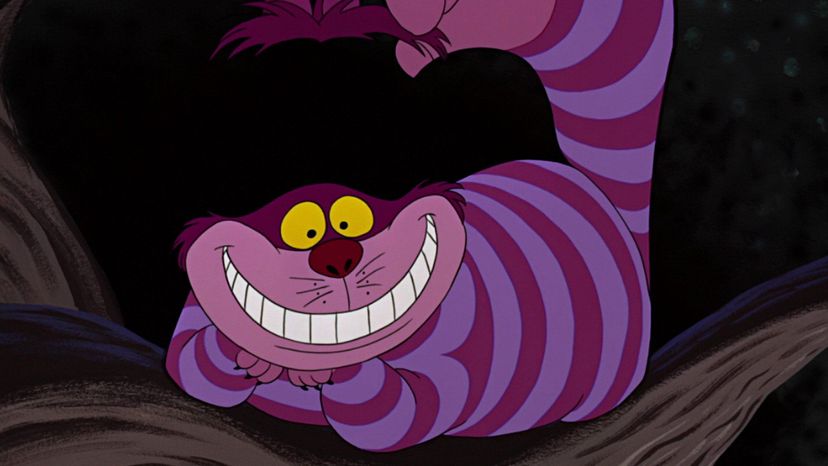 Cheshire Cat