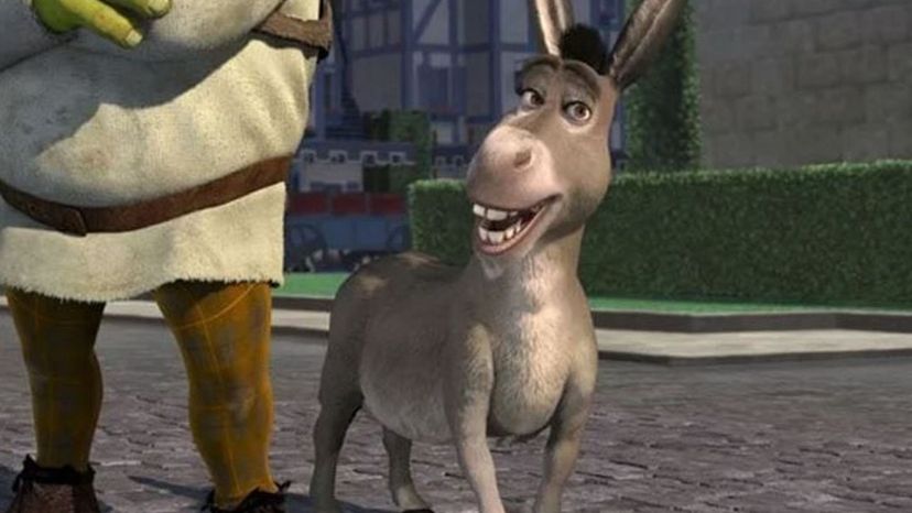 Donkey