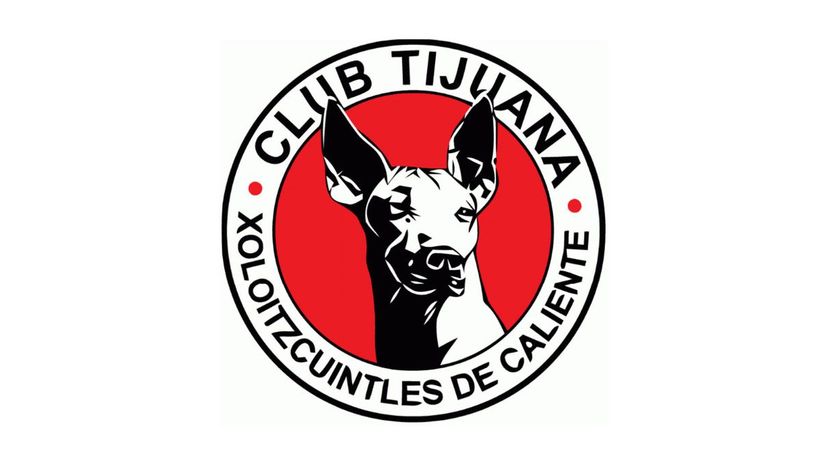 37_Xolos