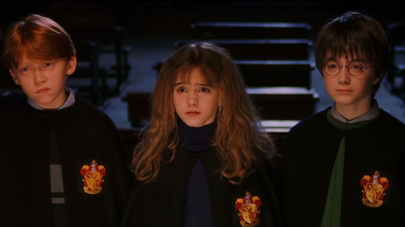 22_Harry-Ron-Hermione