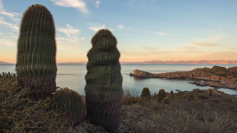 Gulf of California