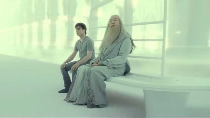 Harry Potter and Dumbledore