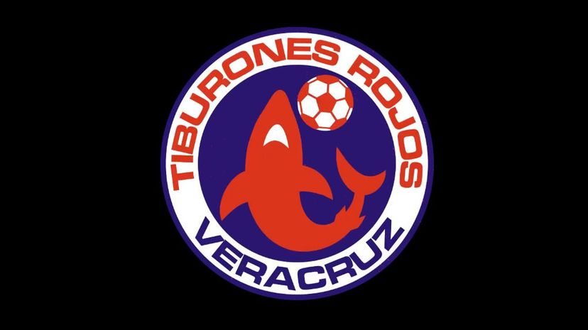 4_Tiburones Rojos