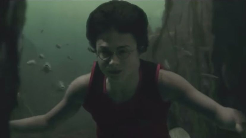 29_Harry-Under-Water