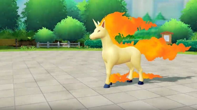 Rapidash