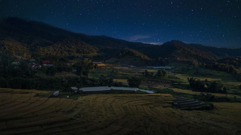 Rice field at night