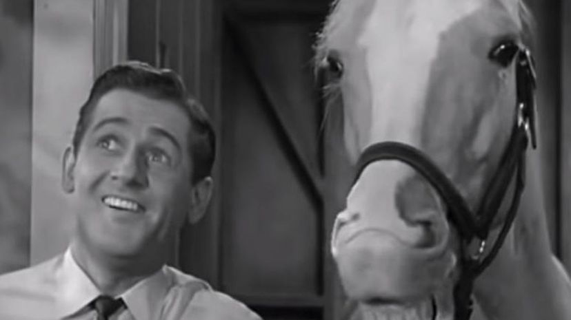 Mister Ed