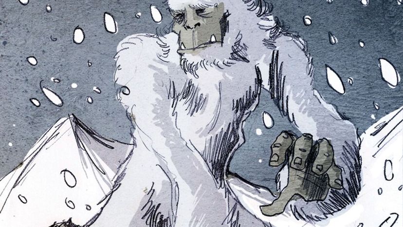Yeti