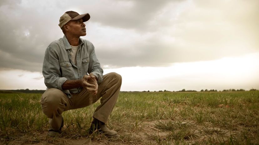 Farmer checking soil