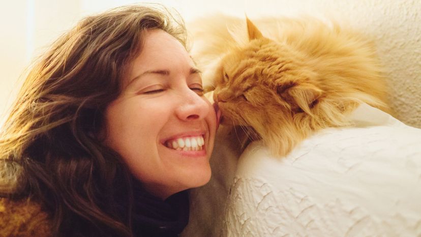 Are You and Your Cat Astrologically Compatible?