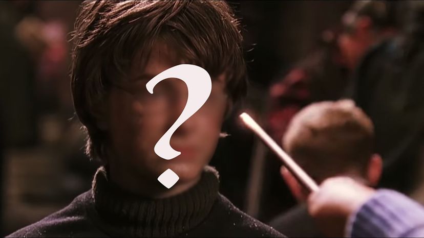 Recast the Harry Potter Films and We'll Guess Your Blood Status