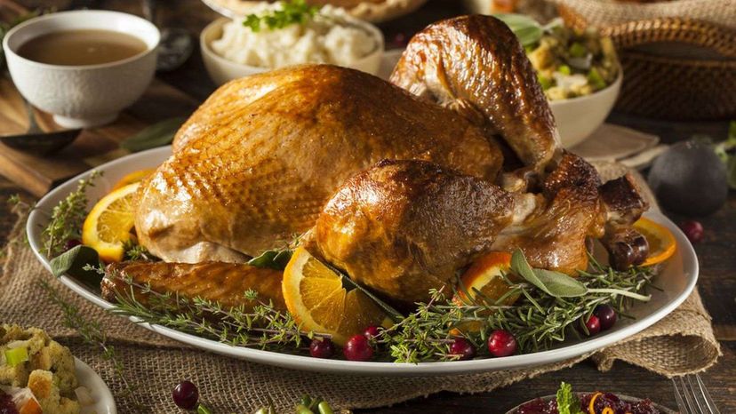 How Much Do You Know about Thanksgiving?