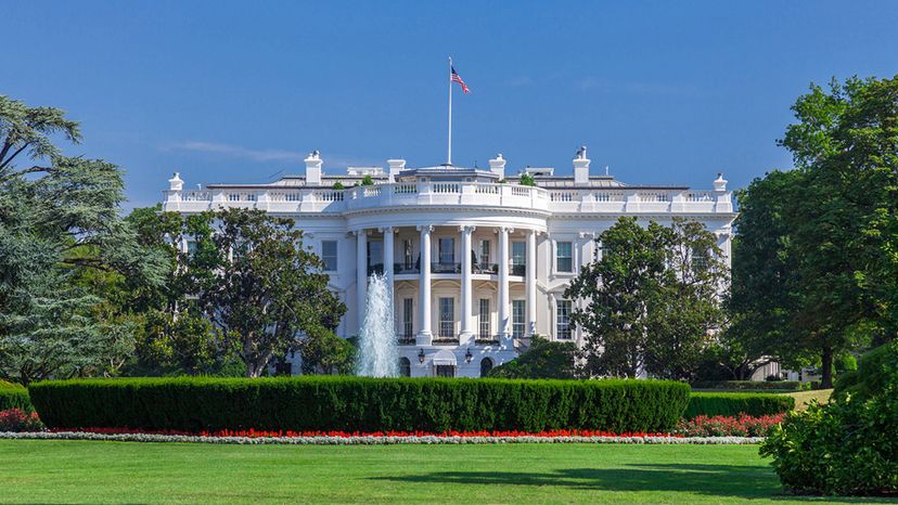 the white house