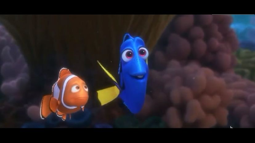 Finding Dory