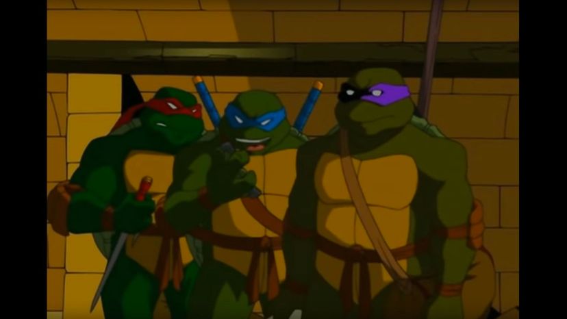 35 teenage mutant ninja turtles
