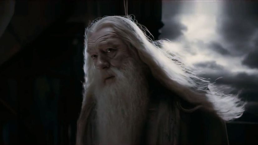 Albus Dumbledore4