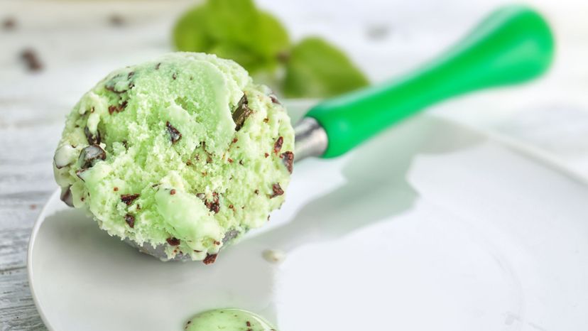 Mint Chocolate Chip