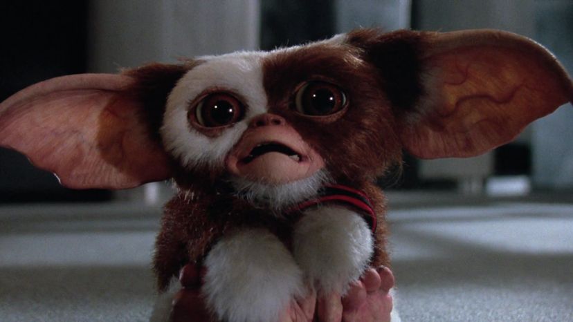 Gremlins: Extreme Cuteness and Incredible Cruelty