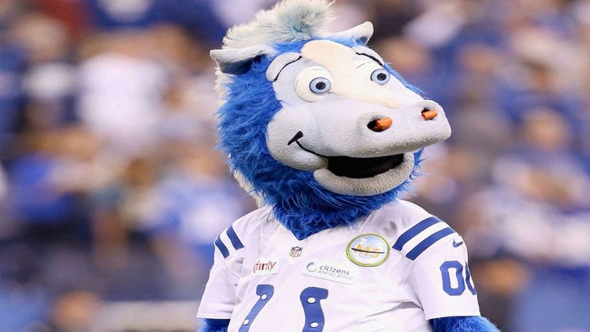 Guess the NFL team by mascot, NFL Team Mascot Challenge, NFL Team Mascot  Quiz