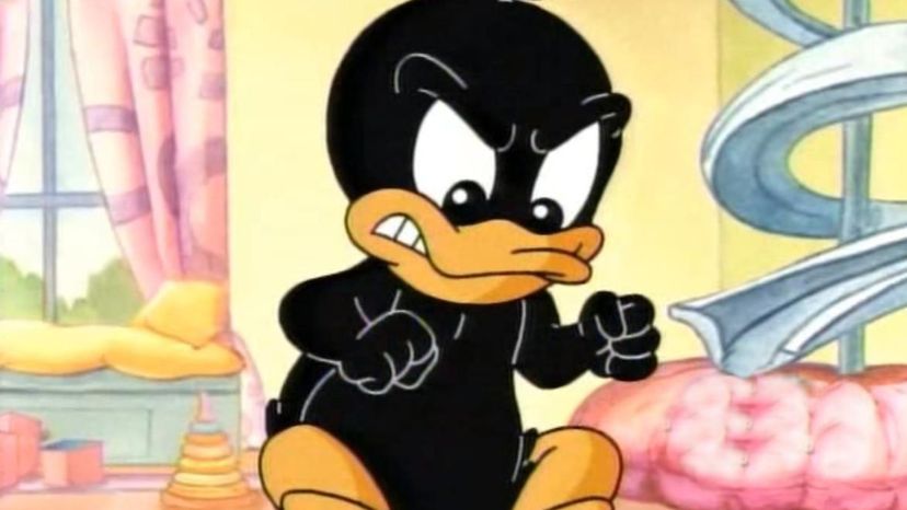 Baby Daffy