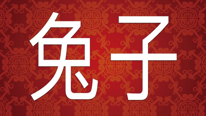 Rabbit Ã¥â€¦â€Ã¥Â­Â TuÃŒâ‚¬ziÃŒÅ’ 