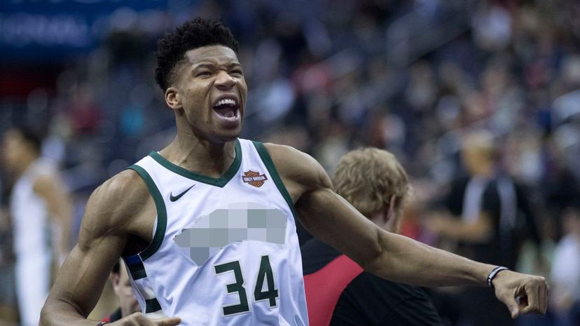 13_Giannis Antetokounmpo2